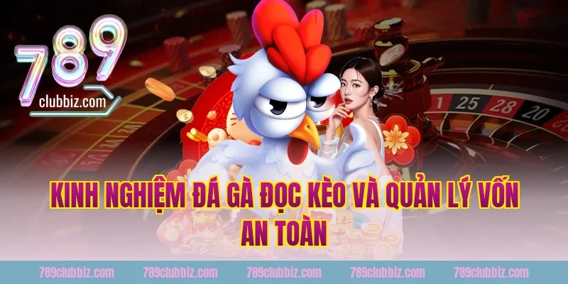 Kinh nghiệm đá gà - đọc kèo và quản lý vốn an toàn tại 789Club
